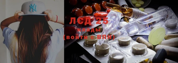 молекула духа Магадан