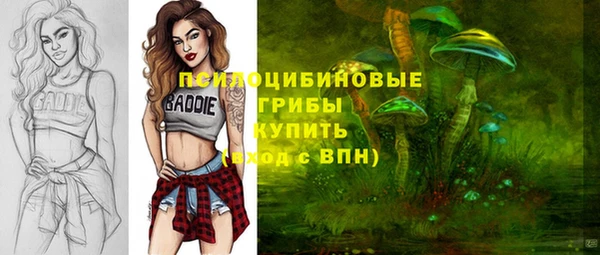 винт Алексин