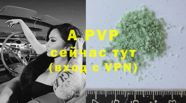 молекула духа Магадан