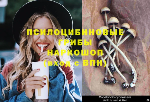 молекула духа Магадан